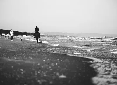 I Love You So Much - Discover the Meaning of 'Te Amo Mucho' in English