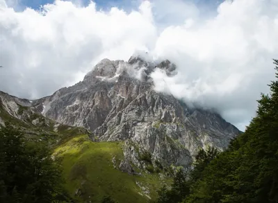 Expressing Love: Te Quiero Mucho in English Translation