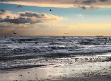 How to Express 'Te Amo Mucho' in English - A Comprehensive Guide