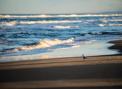 Discover the Heartfelt Meaning of 'Te Quiero Mucho' in English