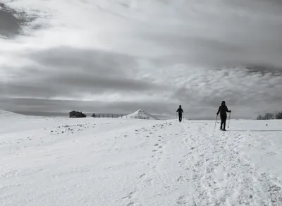 I Love You So Much Daddy - Expressing Love in English