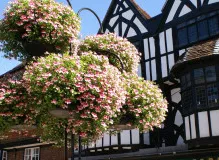 Unlock the Secret Meaning of Te Quiero Mucho in English - Discover the True Depths of Affection!