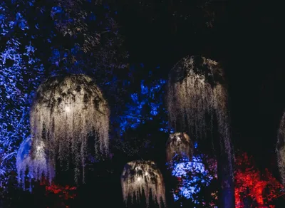 Discover the Meaning of Te Quiero Mucho - Spanish Translation Explained