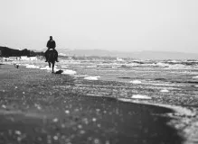 I Love You So Much - Discover the Meaning of 'Te Amo Mucho' in English