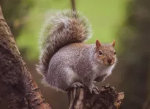 Expressing Love: Learn How to Say Te Quiero Mucho in English