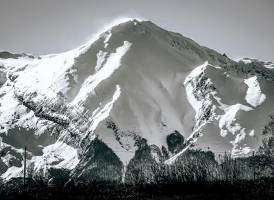 I Love You So Much, My Darling - Learn the English Translation of Te Quiero Mucho Cariño