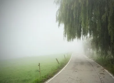 Discover the Heartfelt Meaning of Te Quiero Mucho in English Translation!