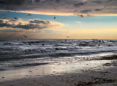 Discover the Best Te Quiero Mucho English Song: Unveiling the Ultimate Playlist!