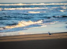 Discover the Meaning of Te Quiero Mucho in English 4