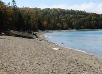 I Love You So Much, My Love - English Translation