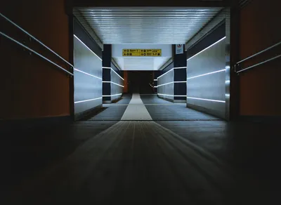 I Love You So Much, Darling - Expressing Affection in English!