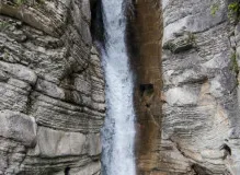 I Love You So Much - English Translation