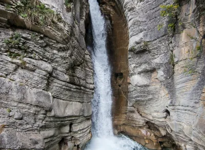 I Love You So Much - English Translation