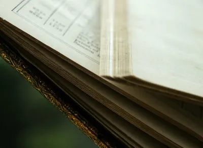 Discover the Heartwarming Meaning of 'Te Quiero Mucho' in English!