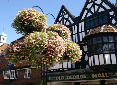 Unlock the Secret Meaning of Te Quiero Mucho in English - Discover the True Depths of Affection!