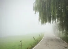 Discover the Heartfelt Meaning of Te Quiero Mucho in English Translation!